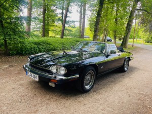 Jaguar Cabrio XJS Convertible V12 1989