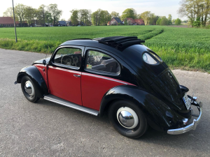 VW Brezelkäfer 1952