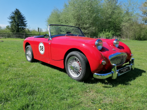 Austin Healey Sprite (Frosch) 1958