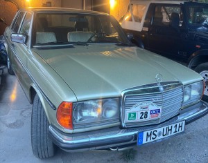 Mercedes W 123 1983