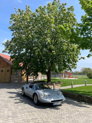 Ferrari Dino GTS Typ 1303 1979
