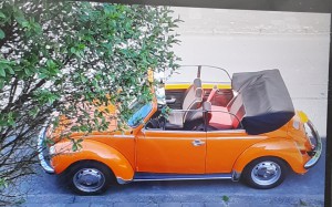 VW Käfer Cabrio 1303 1975